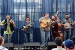 IBMA Business convention