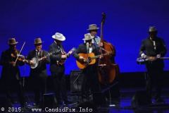 IBMA Business convention