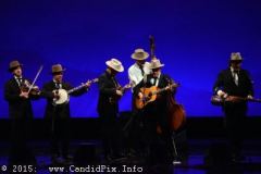 IBMA Business convention