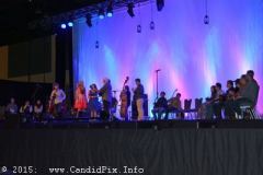 IBMA WOB 2015