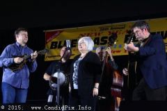 2014 Jekyll Island New Year Festival