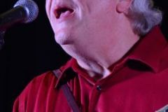 2014 Jekyll Island New Year Festival