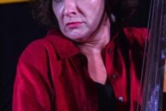 2014 Jekyll Island New Year Festival