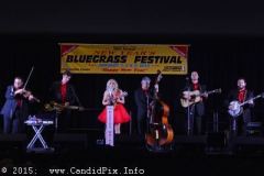 2014 Jekyll Island New Year Festival