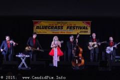 2014 Jekyll Island New Year Festival