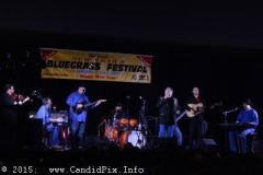 2014 Jekyll Island New Year Festival