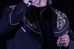 2014 Jekyll Island New Year Festival