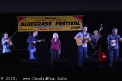 2014 Jekyll Island New Year Festival