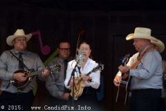 Newell Lodge Bluegrass March 2015