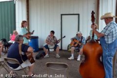 Marshall Bluegrass Festival 2015