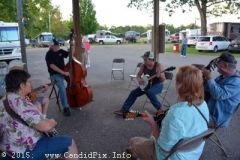 Marshall Bluegrass Festival 2015