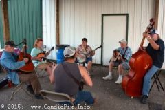 Marshall Bluegrass Festival 2015