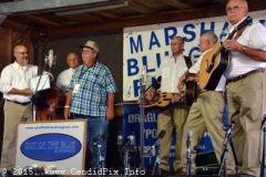 Marshall Bluegrass Festival 2015