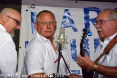 Marshall Bluegrass Festival 2015