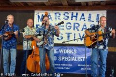 Marshall Bluegrass Festival 2015