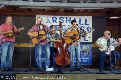 Marshall Bluegrass Festival 2015