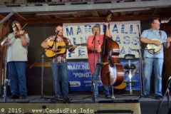 Marshall Bluegrass Festival 2015