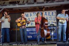 Marshall Bluegrass Festival 2015