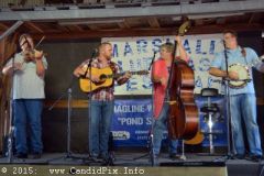 Marshall Bluegrass Festival 2015