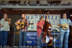 Marshall Bluegrass Festival 2015