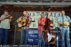 Marshall Bluegrass Festival 2015