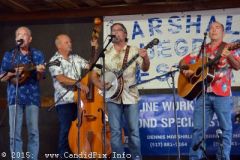Marshall Bluegrass Festival 2015