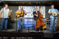 Marshall Bluegrass Festival 2015