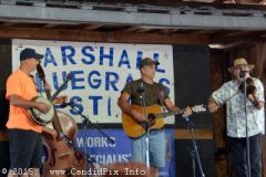 Marshall Bluegrass Festival 2015