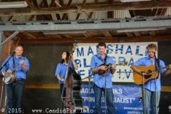 Marshall Bluegrass Festival 2015