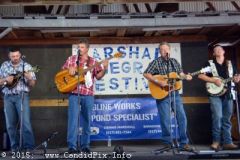 Marshall Bluegrass Festival 2015