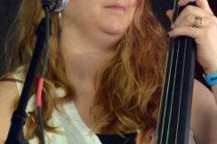 Marshall Bluegrass Festival 2015