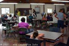 Milan Bluegrass Festival 2015