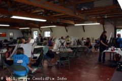 Milan Bluegrass Festival 2015