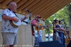 Milan Bluegrass Festival 2015
