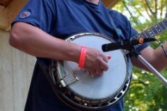 Milan Bluegrass Festival 2015