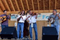 Milan Bluegrass Festival 2015