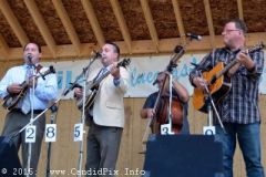 Milan Bluegrass Festival 2015