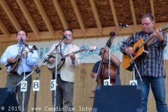 Milan Bluegrass Festival 2015