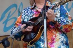 Milan Bluegrass Festival 2015