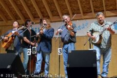 Milan Bluegrass Festival 2015