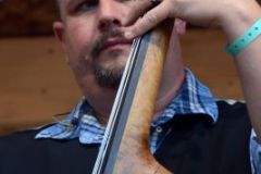 Milan Bluegrass Festival 2015