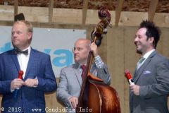 Milan Bluegrass Festival 2015