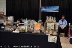 Southern Ohio Indoor Music Festival