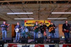 Thursday 2015 Palatka Festival February