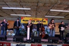 Thursday 2015 Palatka Festival February