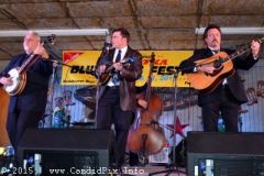 Thursday 2015 Palatka Festival February