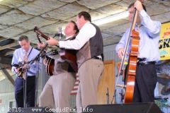 Friday 2015 Palatka Festival February