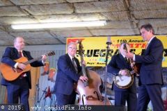 Friday 2015 Palatka Festival February