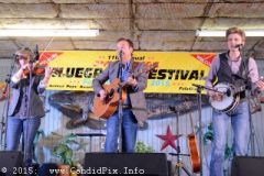 Friday 2015 Palatka Festival February