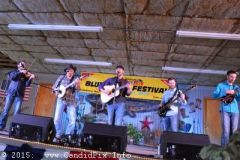 Saturday 2015 Palatka Festival February